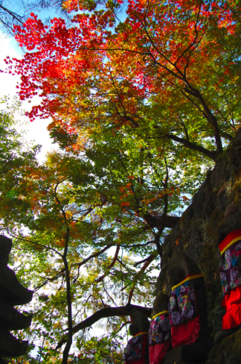 柳津町紅葉